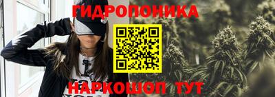 PSILOCYBIN Краснознаменск