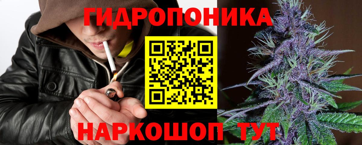 Бошки Шишки Bruce Banner Йошкар-Ола